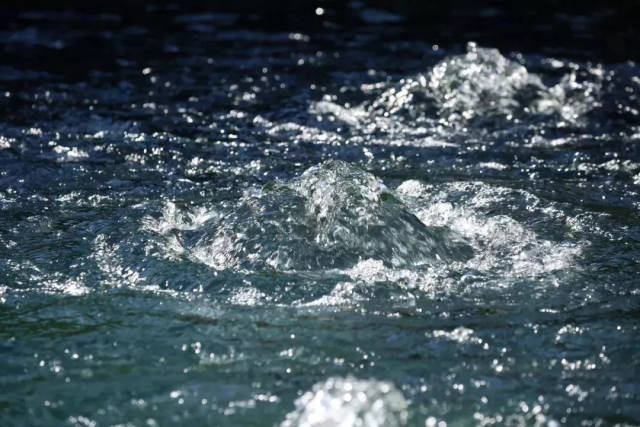 这是趵突泉泉水凸显的景象,远远就能听到泉水汩汩的声音.