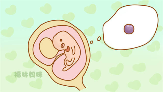 水果趣解110月胎儿发育每个月胎宝宝都像什么萌翻了