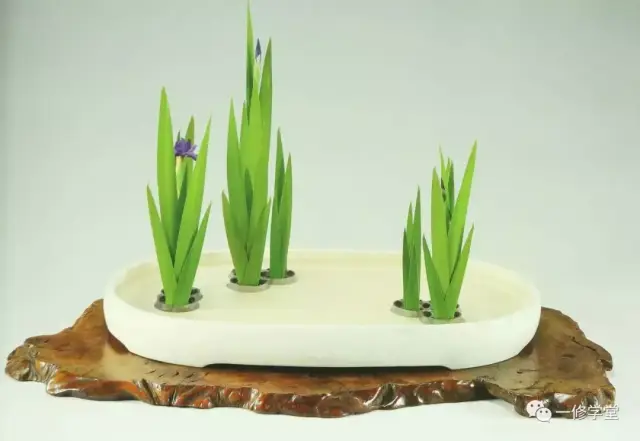 小原流花道|| 盛花一修学堂小原流插花教室_搜狐网