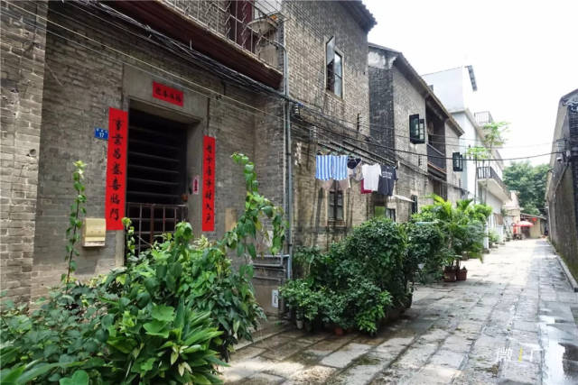 芳村附近有个隐世古村,不仅人少景美,而且还免费!