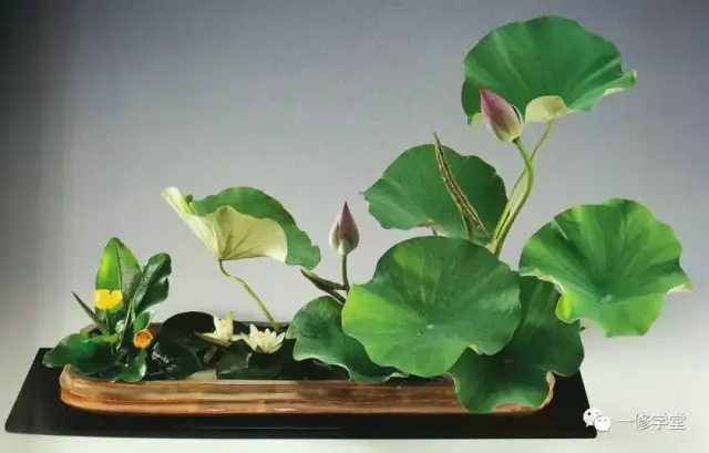 小原流花道|| 盛花一修学堂小原流插花教室_搜狐网