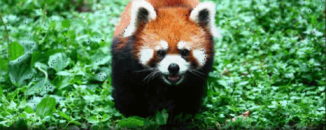 500_200gif 动态图 动图