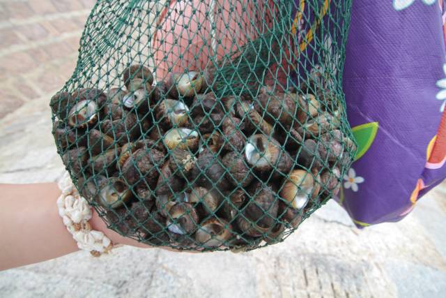 青岛大妈跳海里挖小海螺,全身湿透半天仅挖两斤