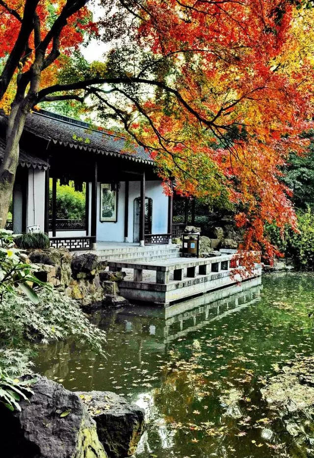 【无锡院落】愿有一方小院 盛满人间清欢