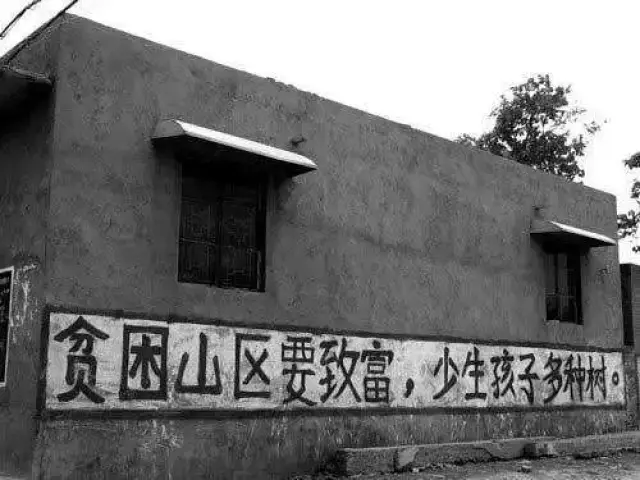 从少生孩子多种树到生娃是国事,你生不生?