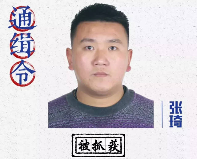 张琦, 陈兴忠在肥城被抓获,该两人的 通缉令撤销