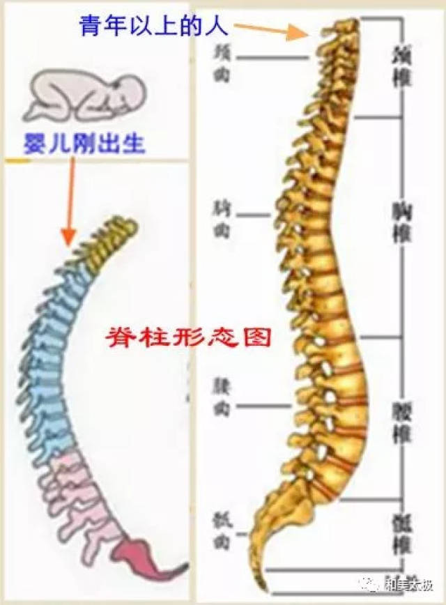 在此述說的松脊之