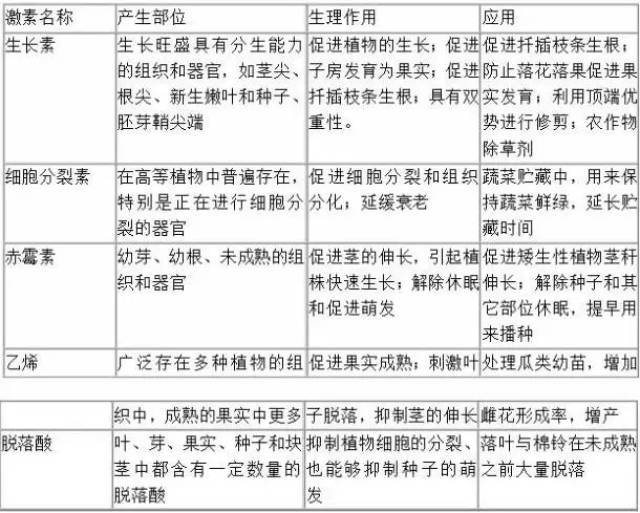 植物激素及其作用