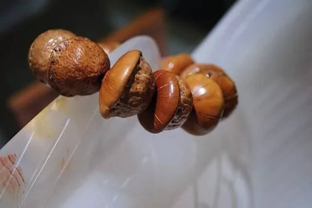 男人必看:补肾壮阳奇效三种手串