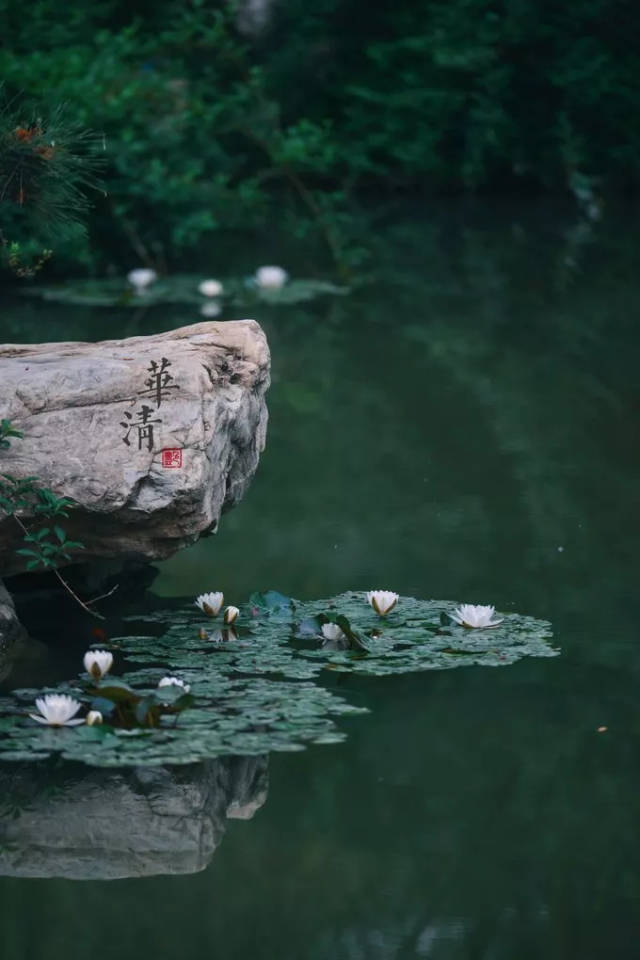 《凉夜有怀》