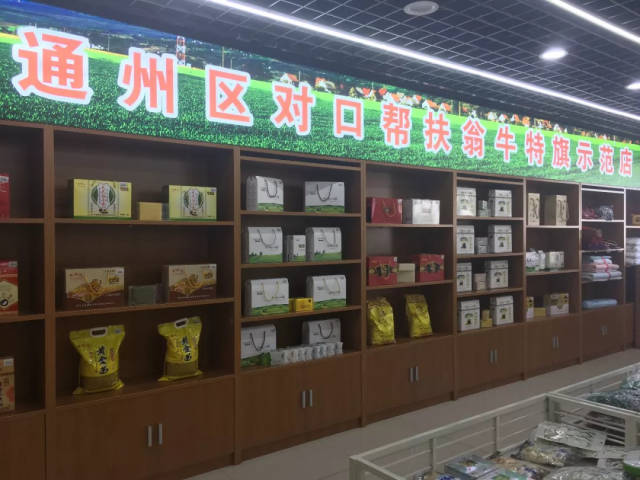 探秘绿色的宝藏：绿化苗木基地背后的奥秘