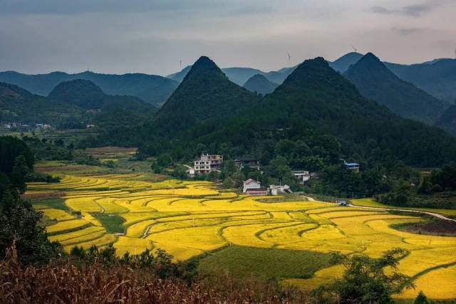 永顺县商务局,中国邮政集团公司湖南省永顺县分公司,松柏镇人民政府