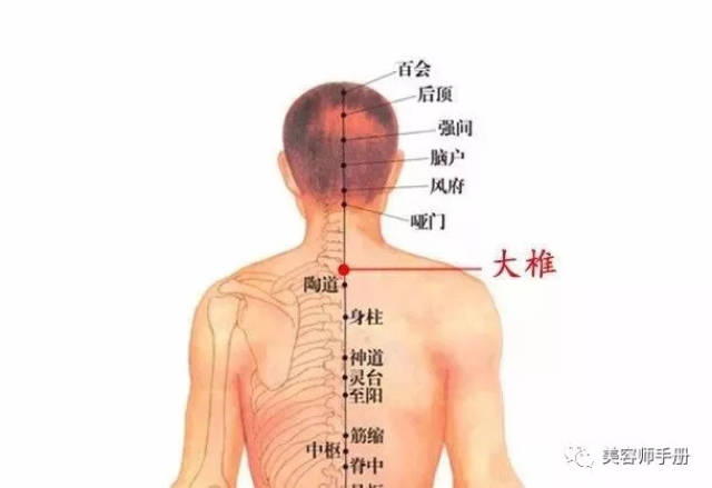 肩颈上的主要经络图图片