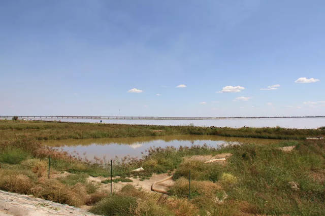 一群媒体人在黄河边上干了一件大事!黄河沿岸,颜值担当非包头莫属