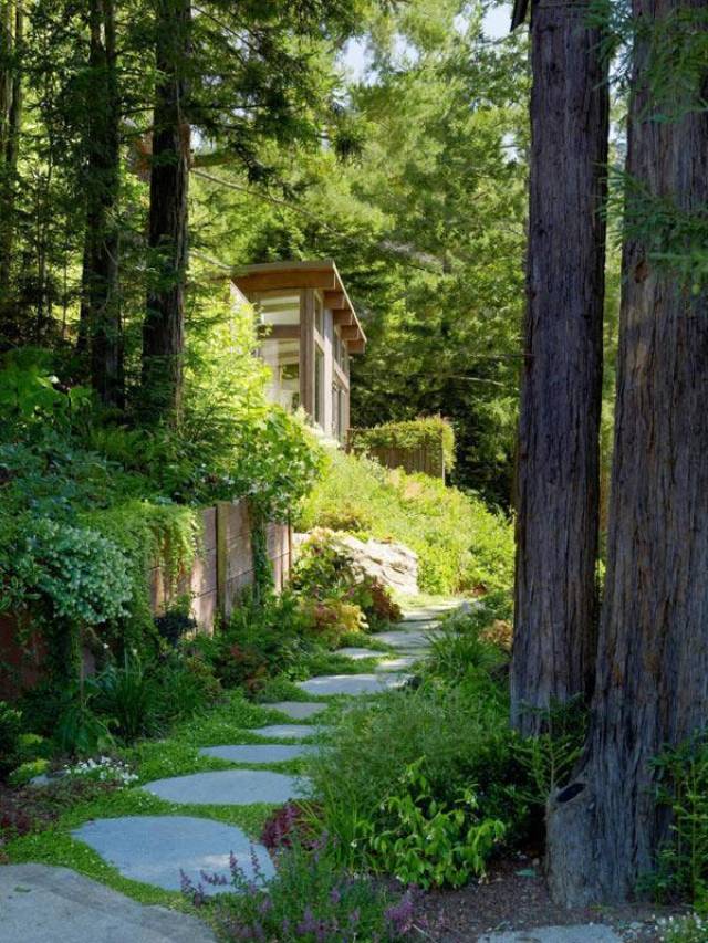 美国加州,森林中一座梦幻的磨房谷小屋,风景如画,超自然感