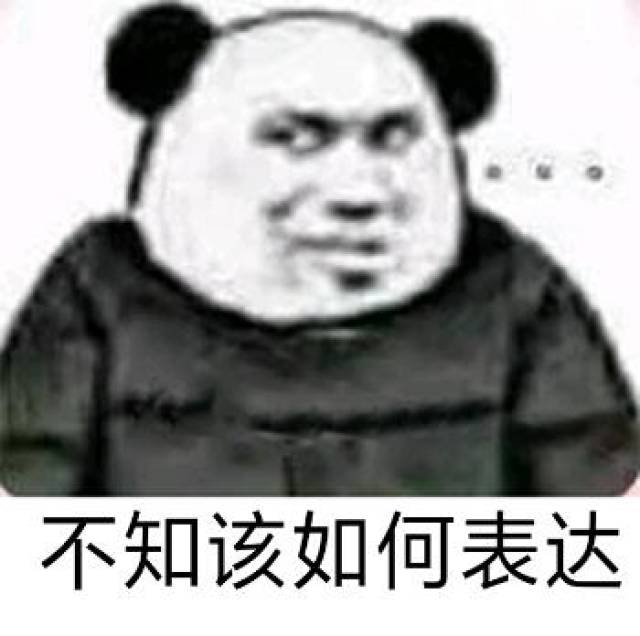 有完没完熊猫头表情包图片