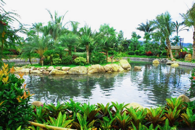 暖都避寒度假体验之嘎洒热带喃呢天然温泉疗养_手机搜狐网