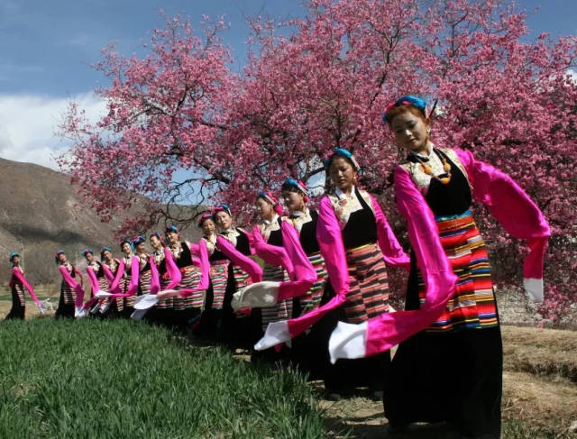 弦子舞雪顿节图片