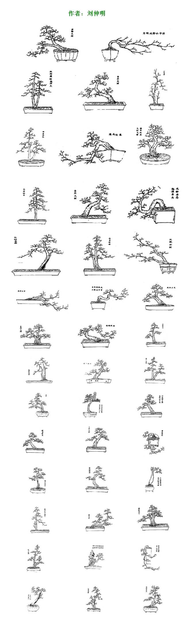 岭南盆景百态图