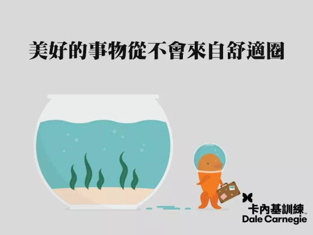 舒适圈,正在一步一步毁掉你!_手机搜狐网