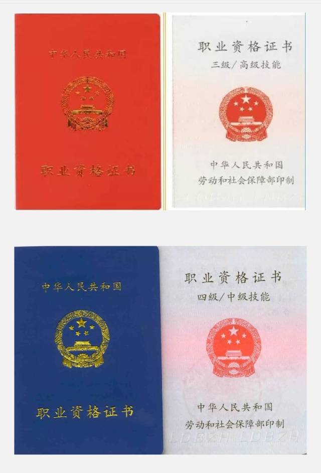 珠宝鉴定证书丢了国检(珠宝鉴定证书编号查不到)