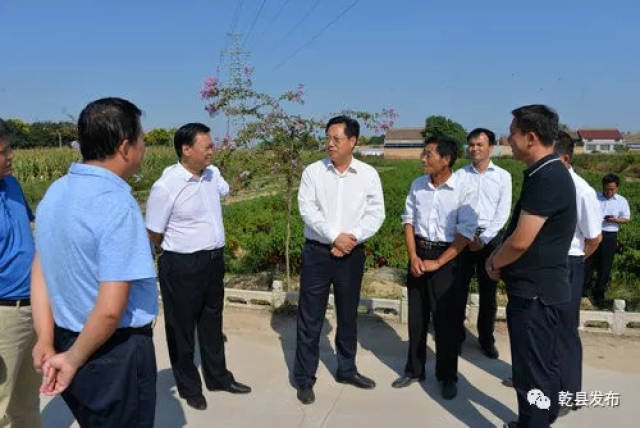 马希良先后来到梁村镇阡道村千亩无制花椒园种植基地,锦绣黄桃专业