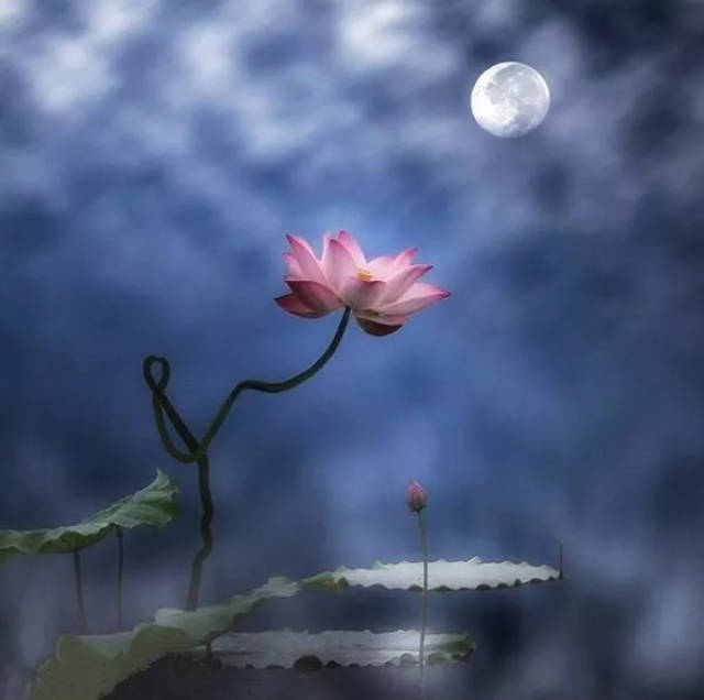 会静静地开花结果 摒弃掉浮躁 能给重压的心灵松绑 守住宁静 不要在