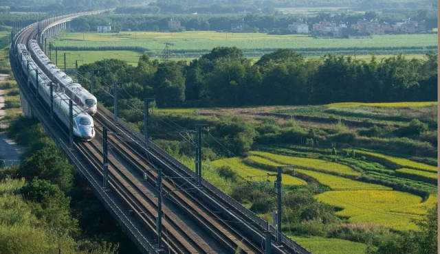 动车组驰骋在京广高铁湖南段.