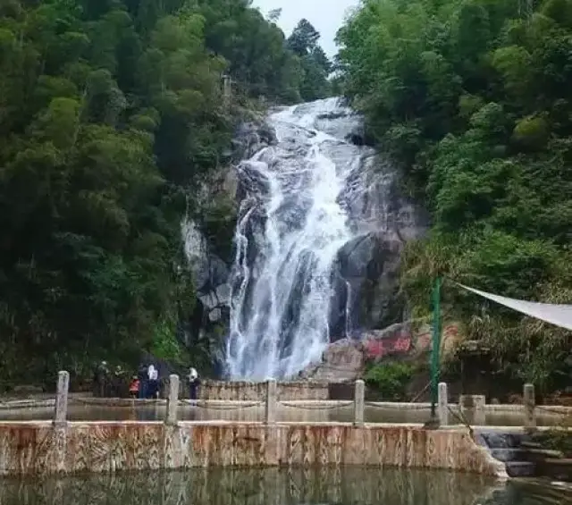 追逐相思梦——岳阳县相思园开拓创新文化旅游扶贫纪实