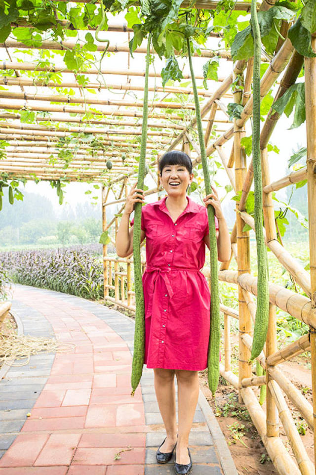 哇,这满架子的葫芦,长这么大,不小心碰到头好疼呢.