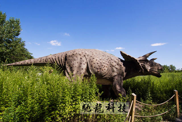 仿真机械恐龙二手还是全新好?