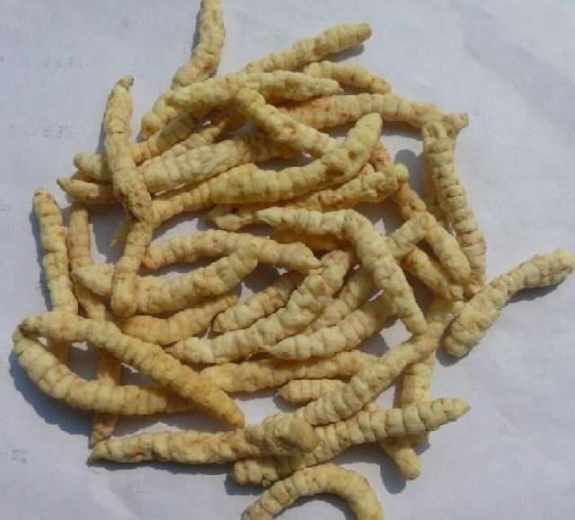 这菜是野菜珍品,茎叶可凉拌,根茎能腌酱菜,小时候家家都有!