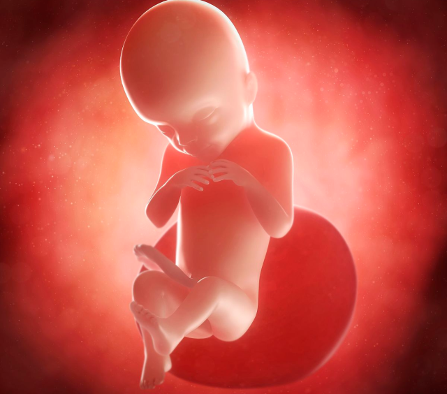 询问妇产科医师之问题:1胎儿的大小,体重与发育正常吗?2