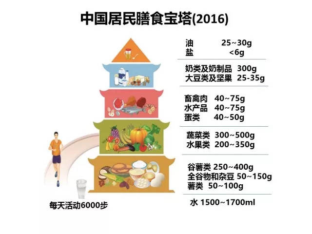 平衡膳食宝塔营养物质图片