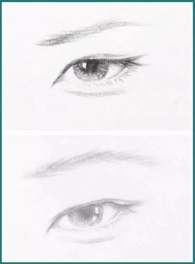 丹凤眼(上)vs瑞凤眼(下) 对比杜鹃的丹凤眼,再看瑞凤眼本身的特征描述