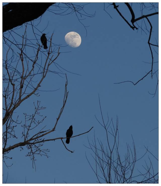 三江文学:《大海不再悲伤》组诗九首 文/随风