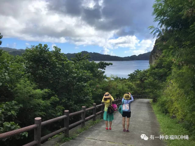 天下无岛-2018年8月,小笠原群岛游(3)
