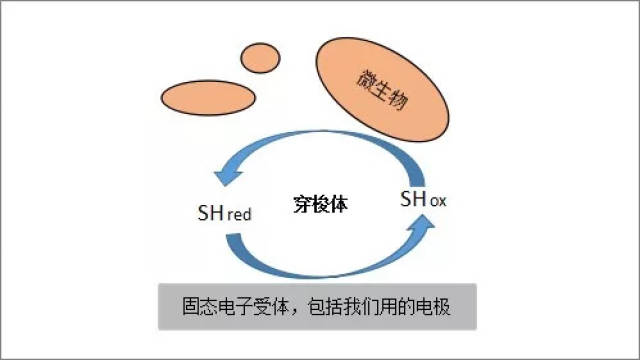 圖2.以往的電子穿梭機制