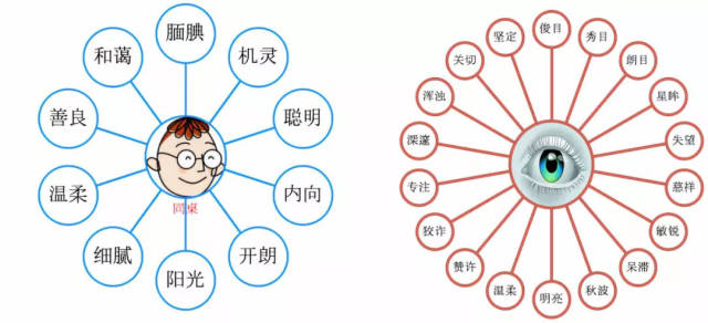 l氣泡圖的應用:可以培養孩子描述事物的精確度