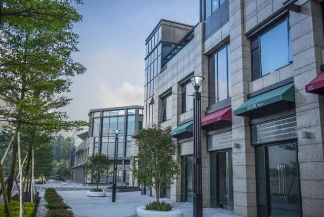 承诺配建的品牌小学呢长沙保利大都汇的开发商们请回答