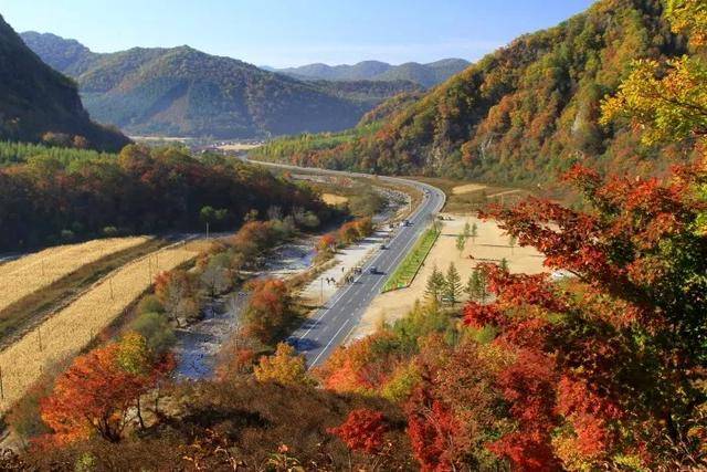 本桓公路辽东秋天最繁忙的公路,带你去最秋天的地方看"枫景!