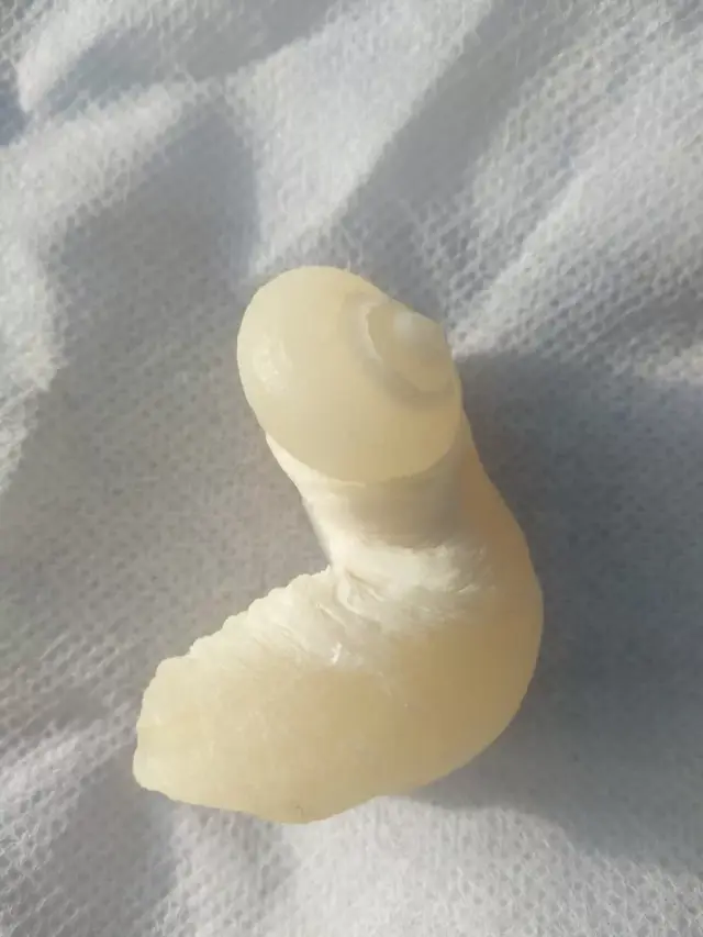 螺化玉|沧海之玉是一种来自海洋鲜为人知的化石!