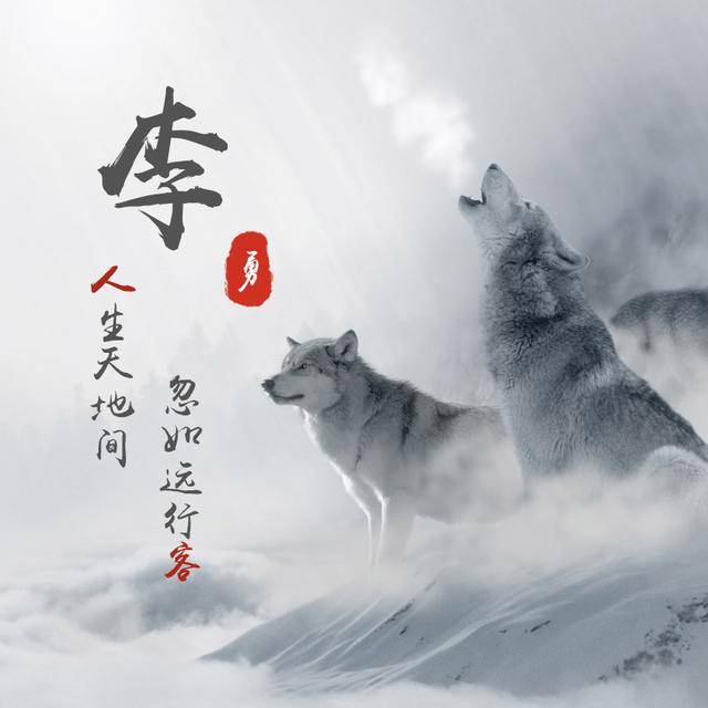 微信头像,姓名头像,狼图腾,上山虎,喜欢请带走