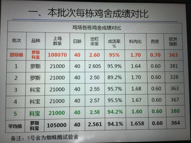 蜘蛛酶金凤美在肉鸡后期使用的欧洲指数2