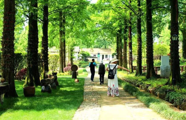 正在公示!宣城两地入选2018年省级休闲农业和乡村旅游示范园区(农庄)