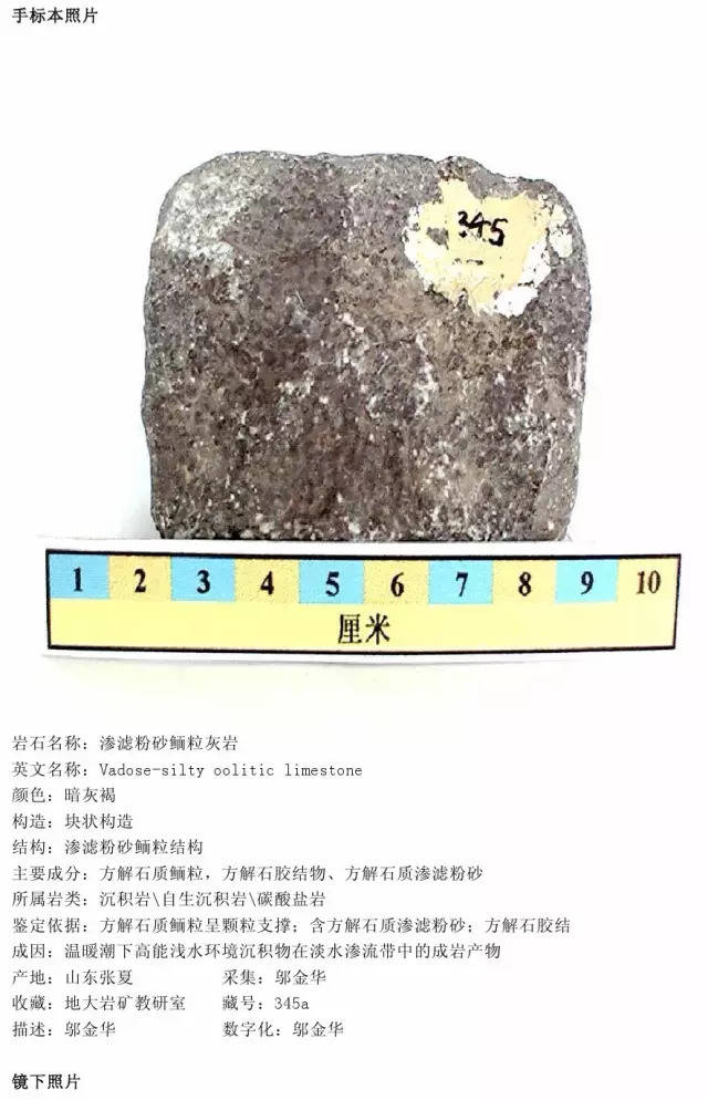豹皮灰岩主要矿物成分图片