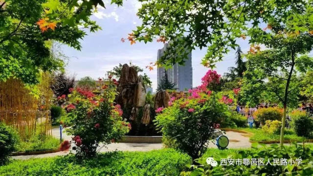 西安市人民政府教育督导总督学王小虎在靳林林局长和王建博副局长的