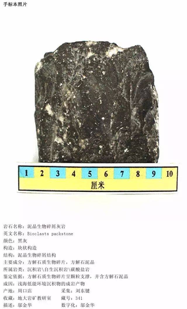 三大岩手标本和薄片对照合集!