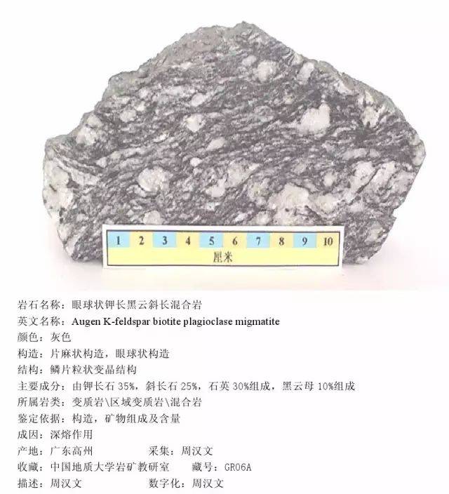 眼球状钾长黑云斜长混合岩