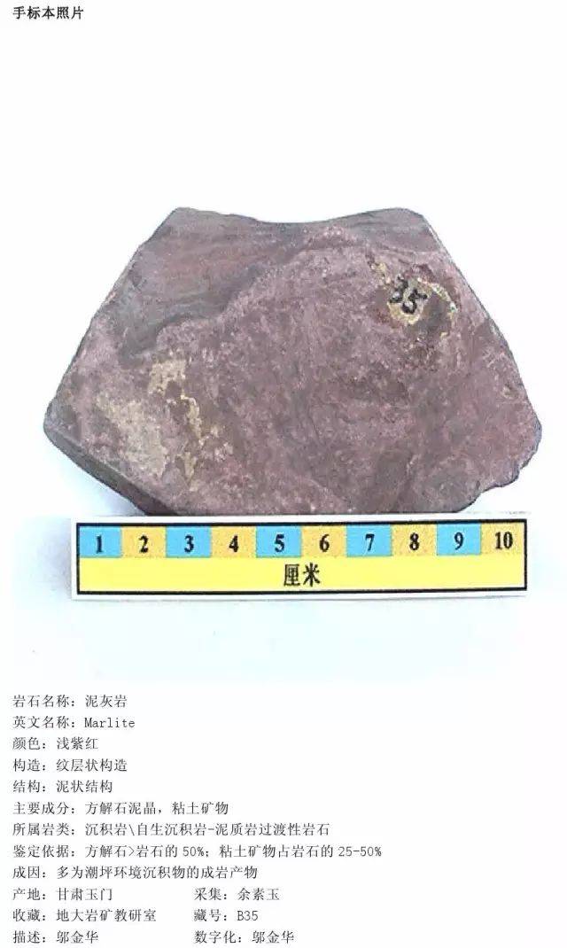 泥质灰岩的岩性描述图片